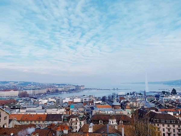 Techniques éprouvées pour économiser l'eau au jardin
