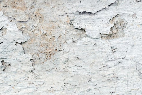 Comment intégrer un mur végétal dans un salon au style industriel ?