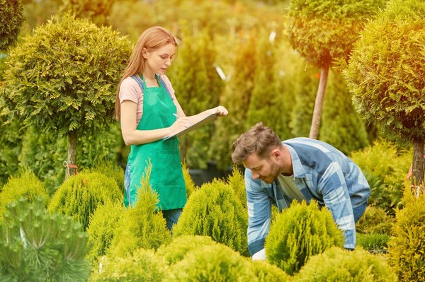 Astuces et conseils pour choisir les meilleures plantes pour votre jardin